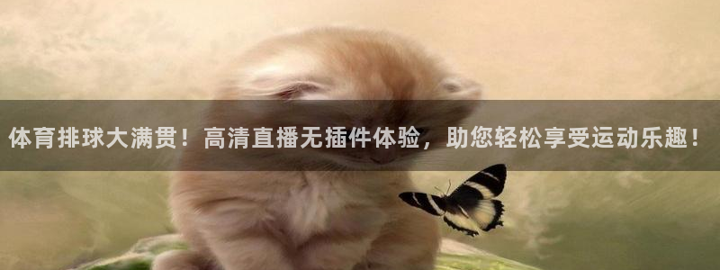 飞速直播nba免费直播在线观看：体育排球大满贯！高清直播无插件体验，助您轻松享受运动乐趣！