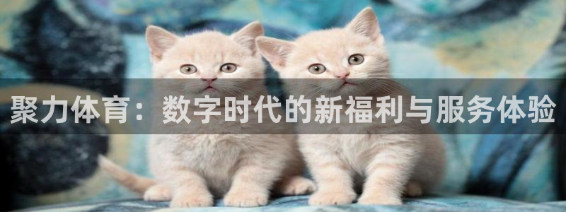 飞速直播高速直播：聚力体育：数字时代的新福利与服务体验