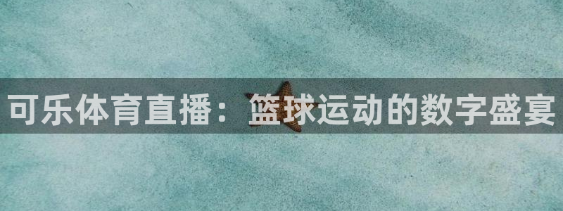 飞速直播高速直播：可乐体育直播：篮球运动的数字盛宴