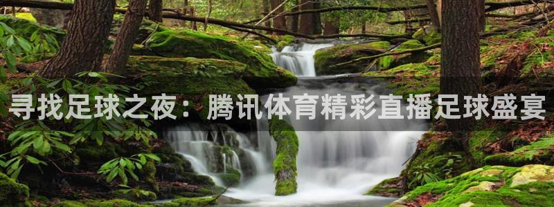 飞速直播体育app：寻找足球之夜：腾讯体育精彩直播足球盛宴
